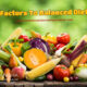 Factors To Balanced Diet